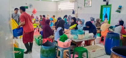 Harga Rajungan Anjlok, Nelayan Lamongan Kelimpungan