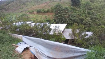 Takut Cemari Lingkungan, Warga Desa Bumiaji Protes Keberadaan Peternakan Babi