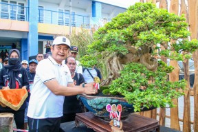 Mejeng di Festival Bonsai Lamongan, Begini Penampakan Tanaman Seharga Supercar