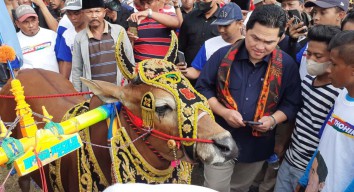 Nonton Karapan Sapi di Bangkalan, Erick Thohir Diminta Datangkan Vaksin PMK