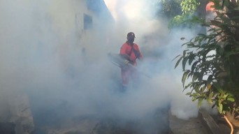 Waspada! Kasus DBD di Jombang Meningkat, Sudah Tembus 86 Kasus