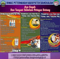 Disnak Bangkalan Imbau Peternak Pakai Obat Tradisional Hadapi Wabah PMK