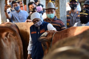1.276 Juleha di Jawa Timur Siap Bertugas saat Idul Adha