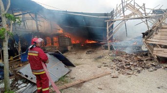 2 Kandang di Bojonegoro Beserta 55 Ribu Ekor Ayam Hangus Terbakar