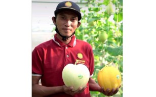 Mahfudh, Petani di Sokobanah, Sampang yang Sukses Budidaya 8 Varietas Buah Melon