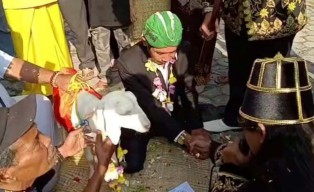 Duh! Demi Konten, Kreator di Gresik Setting Pria Nikahi Seekor Domba