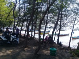 Desa Dringu Probolinggo Kembang Potensi Ekonomi Lewat Eksotika Wisata Pantai