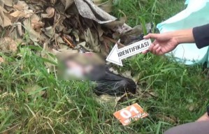 Warga Kedungpapar Jombang Temukan Mayat Bayi di Tumpukan Sampah