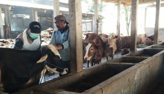 Jelang Idul Adha, Pasar Hewan Dadakan di Lamongan Wajib Kantongi Izin
