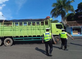 Pengiriman Ternak dari Bali ke Jawa Diperketat Jelang Idul Adha