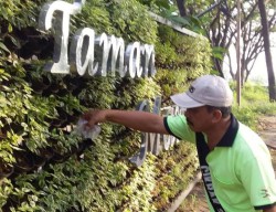 Waduh! Bunga di Taman Manula Kota Probolinggo Sering Hilang, DLH Geram
