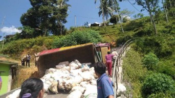 Tak Kuat Menanjak, Truk Bermuatan Porang Terguling di Jalan Ngrayun Ponorogo