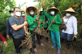 Cegah Ancaman Krisis Pangan, Lahan Tidur di Surabaya Mulai Dikelola Pemkot