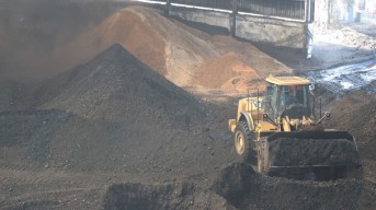 Transisi Energi Hijau, PLN Terapkan Co-Firing 6 Persen di PLTU Paiton