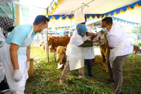 Emil Dardak: Mari Wujudkan Hari Raya Kurban Secara Aman