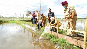 Menengok Kampung Koi Banyuwangi, Naik Kelas Berkat Jagoan Tani