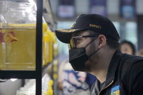 Kembangkan Genetik Cupang Asli Kabupaten Kediri, Mas Dhito Siapkan Sejumlah Nama