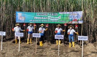 Program Makmur, Dorong Peningkatan Kesehjateraan Petani Tebu di Kabupaten Kediri