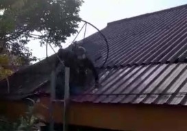 Viral Video Paramotor Gagal Take Off Lalu Nyangkut di Atap Sekolah Kota Batu