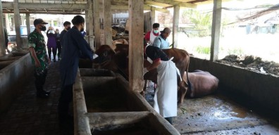 Tiga Hari Jelang Idul Adha, Pengajuan TPH Kurban di Lamongan Masih Minim