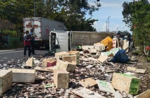 Pikap Terguling di Bojonegoro, Muatan Ikan Tumpah Tutupi Jalan