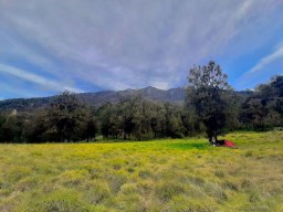Hilang Sejak 2 Juli, Peserta Maraton Gunung Arjuno Belum Ditemukan