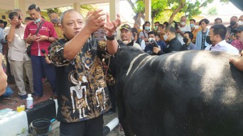 Tinggal 1 Kecamatan Zero PMK, Bupati Lamongan Berencana Salurkan Bantuan Obat