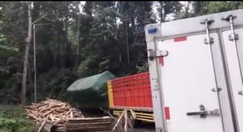 Truk Bermuatan Kayu Kembali Terguling di Raya Gumitir Jember