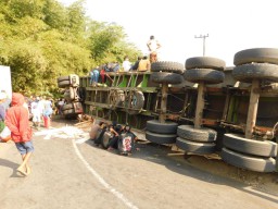 Truk Muatan Triplek Timpa Mobil di Jember, 3 Orang Dilaporkan Tewas