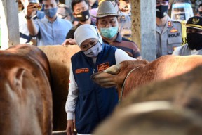 Animo Berkurban Warga Jatim Tinggi, Khofifah: Berkah Peternak di Tengah PMK