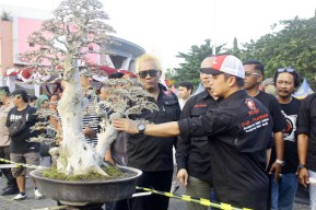 Pemkot Pasuruan Gelar Pekan Raya Bonsai