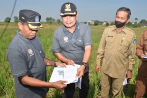 Megilan! Lamongan Segera Punya Training Ground