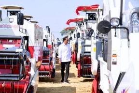 Jokowi Luncurkan Lumbung Pangan Berbasis Mangga dan Taksi Alsintan di Gresik