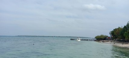 Telur Ikan Terbang Hasil Tangkapan Nelayan Sumenep Tembus Pasar Asia