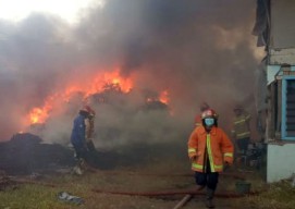 Gudang Plastik di Taman Sidoarjo Terbakar, Berhasil Dipadamkan Setelah 1 Jam