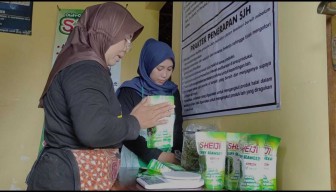 Keripik Rumput Laut Produksi IRT di Pacitan Tembus Pasar Turki