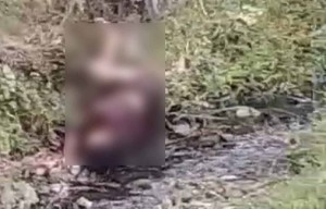 Viral Video 3 Remaja di Jember Tergeletak, Dikabarkan Ditabrak Kereta Api