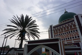 Masjid Al Mubarok Mojokerto Panen Kurma Muda, Banyak Diburu karena Khasiat Ini