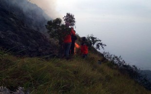 Lereng Gunung Penanggungan Sisi Mojokerto Sempat Terbakar, Titik Api Sudah Padam