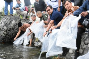PT Semen Padang Lepas 7.000 Ekor Ikan Bilih ke Danau Singkarak Sumbar