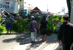 Dua Pengendara Motor asal Surabaya Tertimpa Batang Pohon di Pasuruan