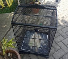 Pria Asal Kediri Tertangkap Curi Burung di Malang