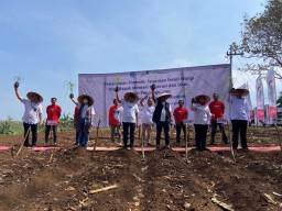 65 Hektare Lahan Perhutani di Ponorogo Akan Ditanami Serai dan Jahe Merah