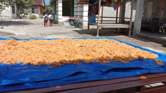 Nelayan di Sumenep Fokus Berburu Ikan Terbang, Telurnya Laku Rp900 Ribu Per Kg