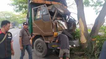 Truk Tronton Tiba-tiba Tabrak Pohon di Lamongan, Sopir Pun Bingung