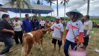 Rayakan HUT ke-77 RI, NasDem Jatim Gelar Jalan Sehat Berhadiah Sapi