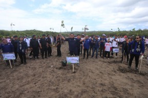 NasDem Jatim Juga Tanam Ribuan Pohon Mangrove di Banyuwangi