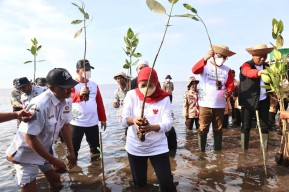 Buka Festival Mangrove Perdana di Jatim, Khofifah: Mari Sedekah Oksigen