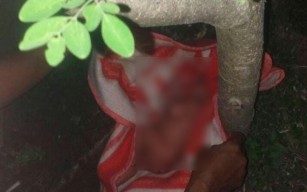 Warga Temukan Bayi Perempuan di Bawah Pohon Kelor