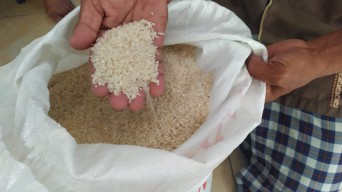 Beras BPNT Kualitas Buruk Kembali Ditemukan di Jombang, KPM: Rasanya Sepo